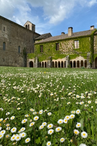 Abbaye de Sylvanès (Aveyron) : 47e Festival Musiques sacrées, programme du 14 au 18 août 2024