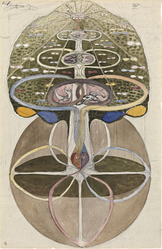 L’Arbre de la connaissance, 1913. Aquarelle, gouache, graphite et encre sur papier. 45,7 x 29,5 cm. Courtoisie The Hilma af Klint Foundation, Stockholm, HaK 133 © The Hilma af Klint Foundation, Bilbao 2024