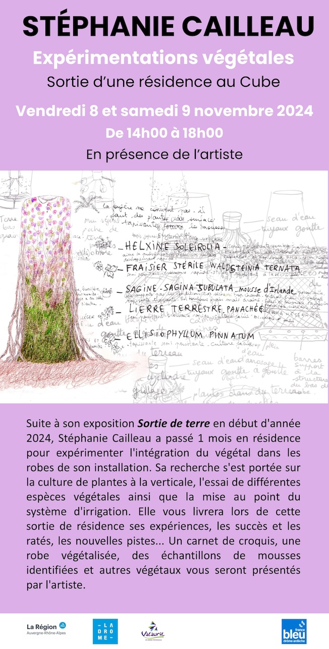 Valaurie (26), La maison de la Tour : « Expérimentation végétale » de Stéphanie Cailleau, vendredi 8 et samedi 9/11/24 de 14h00 à 18h00