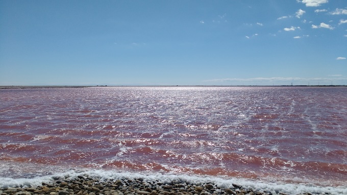 Arles, Musée de la Camargue : « Avec ou sans sel ? ». Expo du 18 octobre 2024 au 18 septembre 2026