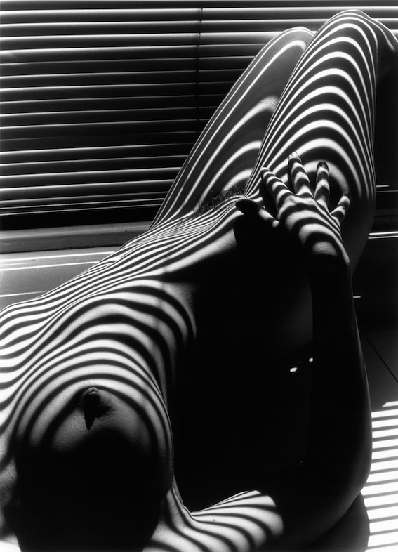 Lucien Clergue, Nu zébré, New York, 1997 © Lucien Clergue / SAIF 2024