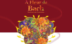 Festival de Cantates « A Fleur de Bach » du jeudi 8 au dimanche 11 décembre 2016 à Aix-en-Provence, Marseille &amp; Venelles