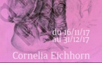 Altitude Attitude - Exposition de dessins de Cornelia Eichhorn, à la galerie L'abat-jour, Lyon, du 16/11 au 13/12/17