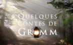 Quelques contes de Grimm