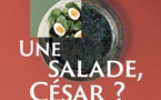 Lyon, musée Lugdunum : « Une salade, César ? La cuisine romaine de la taverne au banquet », expsosition du 25/11/20 au 25/4/21