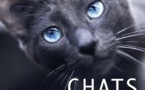 Chats portraits atypiques ! de Julia Bénard, Editions De Borée