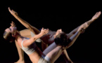 Europa Danse, Les Chemins de la danse, Auditorium Jean Moulin, Le Thor, Vaucluse, 25 et 26 janvier 2013