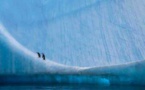 Paris, Galerie GadCollection : « Un Voyage », Paul Nicklen, photographies, jusqu'au 7 février 2021