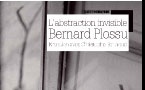 L’abstraction invisible, Bernard Plossu, Entretien avec Christophe Berthoud, Collection « L’Écriture photographique »