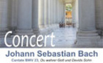 Concert : Cantates de Bach et Motets de Reger par le Bach Collegium Paris le 12 octobre 2013