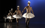 Dada Masilo, Swan Lake. Pièce pour 12 danseurs, théâtre de l'Olivier, Istres, le 4 février 2014