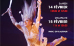 14e édition du Festival International du Cirque des Mureaux du 14 au 15 février 2015