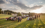 Festival de Fontdouce, 22e édition ! à Saint Bris des Bois, Charente-Maritime du 27 au 31 juillet 2015