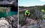 La longue histoire forestière des Calanques !