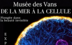 Musée des Vans. « De la mer à la cellule, plongée dans la beauté invisible ». 5/10 au 3/11/24