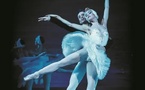 Tournon sur Rhône, théâtre Jacques Bodoin : Le Lac des Cygnes, Grand Ballet de Kiev. 23 janvier 2025, 20h