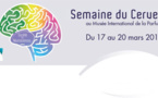 La semaine du cerveau du 17 au 20 mars 2016. Le programme au Musée International de la Parfumerie à Grasse