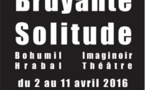 Une trop bruyante solitude, de Bohumil Hrabal, théâtre des Marronniers, Lyon, du 2 au 11 avril 2016